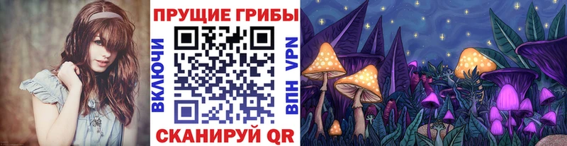 omg   Балабаново  Галлюциногенные грибы Psilocybine cubensis  как найти закладки 