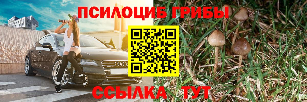 Балабаново  Галлюциногенные грибы Cubensis  Вход с VPN 